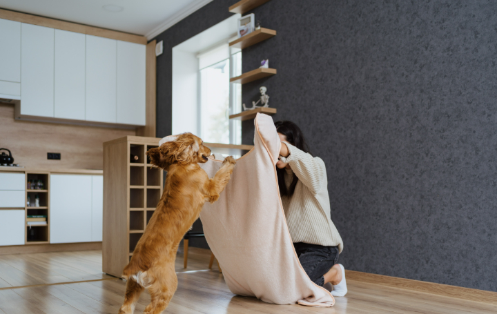 How to Keep Your Dog Entertained Indoors: Fun Activities for Rainy Days